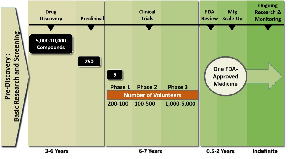 drug development time chart